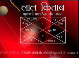Lal Kitab Astrologer in Delhi